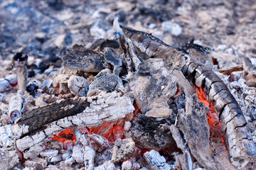 coal from the trees and orange flame in the fire