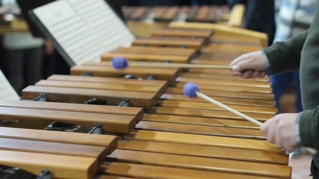 Music teacher shows children how to play the xylophone