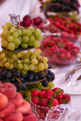 delicious fruit bar for special events