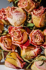 dried roses flower head