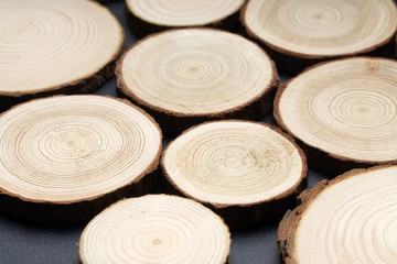 Pine tree cross-sections with annual rings on plane black surface. Lumber piece close-up.