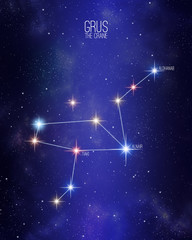 Grus the crane constellation map on a starry space background with the names of its main stars. Stars relative sizes and color shades based on their spectral type.