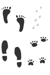Footprints of people, animals