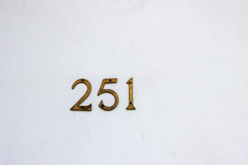 House number 251 with the two hundred fifty on ein bronze numerals screwed to a white door