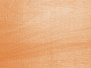 Obraz premium nature wood texture