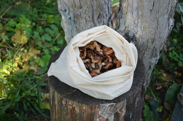 Dried mushrooms. In the Urals and Siberia they are harvested in summer and autumn. And in the cold season make these mushrooms soups and pies.