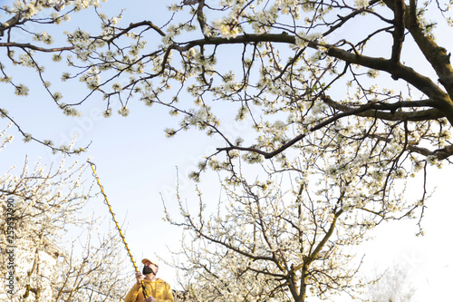 Equipment for spraying apple trees: