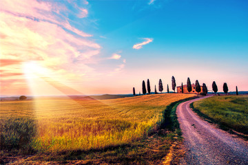 Naklejka na ściany i meble Beautiful magical landscape with a field and a line of cypress in Tuscany, Italy at sunrise
