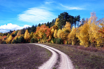 Obraz premium Beautiful landscape with road near autumn forest (loop, purpose, life search, arc - concept)