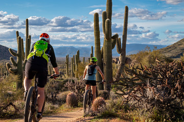Mountain Bikers On Desert Trail In Scottsdale, Arizona