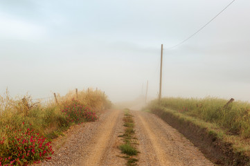 szutrowa polna droga znikająca we mgle