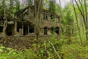Old abandoned house in the middle of a forest