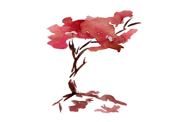 watercolor sakura 