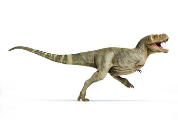 T-rex full body side view.