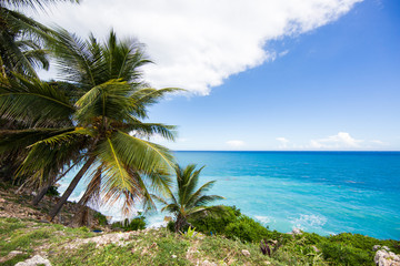 View from the cliff on the Caribbean Sea. Palm trees and blue sky. Barona Dominican Republic