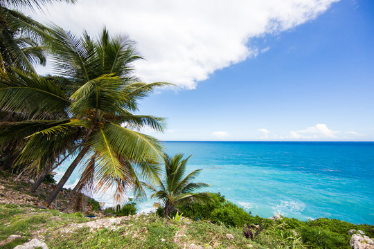 View from the cliff on the Caribbean Sea. Palm trees and blue sky. Barona Dominican Republic © Bankerok