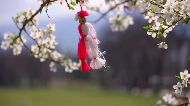 a blossoming tree with white flowers and a martenitsa hanging