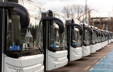 New modern busses on LPG © Belish