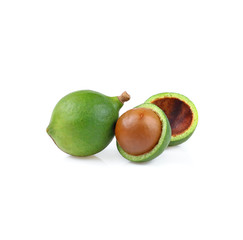 Macadamia nut isolate on white background