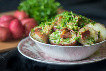 Hot German potato salad