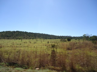 Cerrado Brasília Distrito Federal Pólo de Agricultura Planalto Central