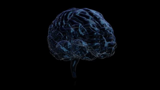 3d animation graphic design of brain. alpha glass background. Brain showing and spinning with mri scan in creativity model and health concept