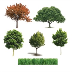 Set of vector trees - 259548797