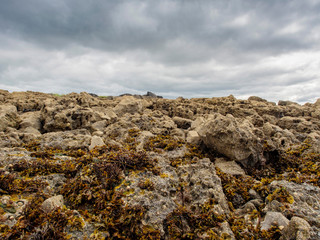 Rock formations in county Clare, Ireland. rocks covered with see weed. Moody sky.