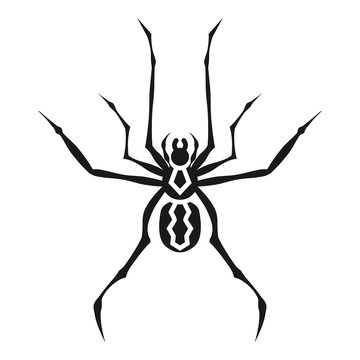 Spider tattoo icon. Simple illustration of spider tattoo vector icon for web design isolated on white background