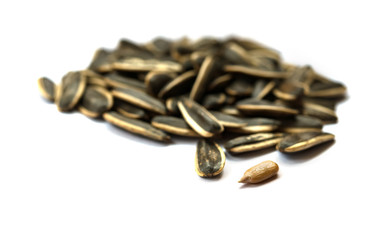 sunflower seeds with one opened on white background