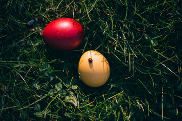A ladybug on colorful Easter eggs in the nature.