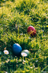 Fototapeta premium Colorful Easter eggs in the nature.