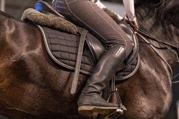 Close up of the sportswoman astride a horse in shape for riding. A brown strong horse, muscles are...