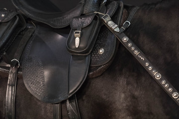 Close up of a harness of a black stallion. The saddle, saddle bags and reins are trimmed by metal...