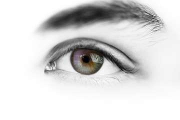 computer program language reflected in eyes close up on white background