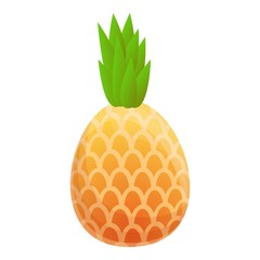 Pineapple food icon. Cartoon of pineapple food vector icon for web design isolated on white background
