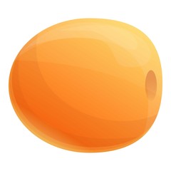 Fresh eco apricot icon. Cartoon of fresh eco apricot vector icon for web design isolated on white background
