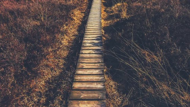 Hiking at Hautes Fagnes swamp over wooden path, 4k. Fall nature background