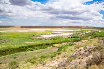 Bitter Lake National Wildlife Refuge in New Mexico, USA