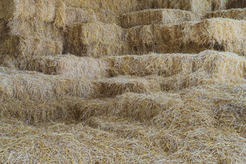 Bales of Straw in a shed for feeding horses