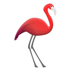 Flamingo icon. Cartoon of flamingo vector icon for web design isolated on white background