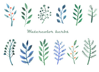 Set of herbs. Hand drawn blue and green leaves. Elements isolated on white background