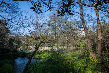 Fototapeta premium 富士の湧水がある公園 