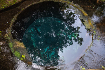 富士の湧水がある公園　