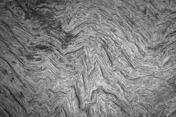 Old wood texture background with natural patterns