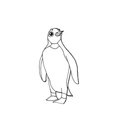 cute funny bird penguin. isolated on white background.