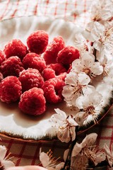 raspberry flowers spring sun rays, still life, cherry flowers