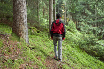 A trekker walking solo  among the forest in a cloudy day