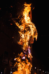 Bonfire burns in the night, close up