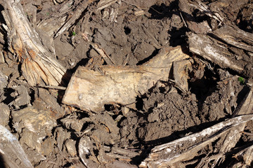 Wood cut to pieces chips biomass and mud on ground